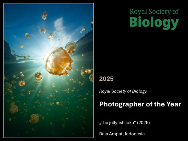 Tauchen Magazine Photo Competition