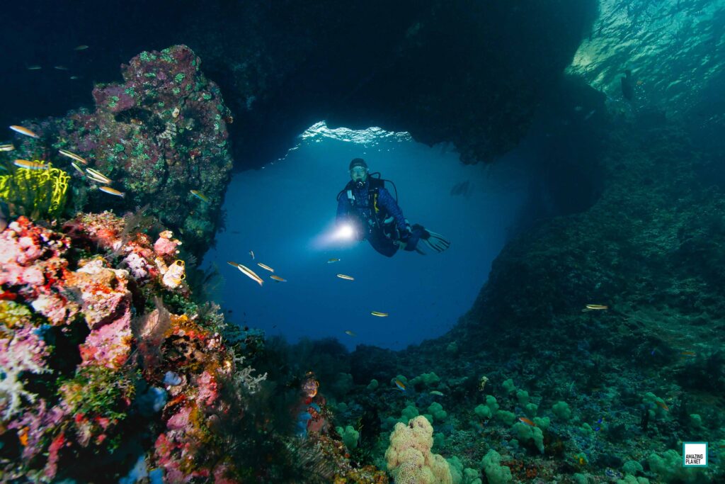 BOO WINDOWS 1024x683