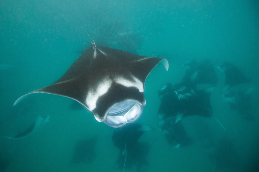 IMG 7329b 1 1024x683