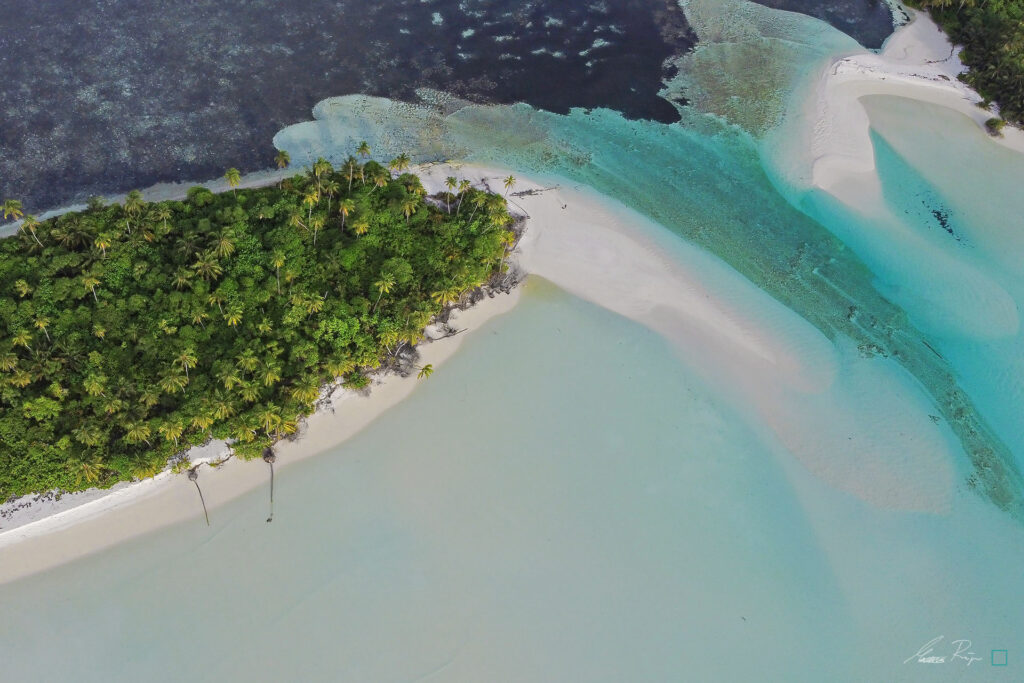 THE SAND FLOW 1024x683