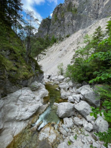 canyon 1