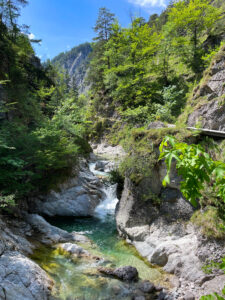 canyon 2