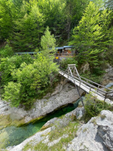 canyon 5