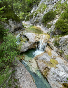 canyon 6