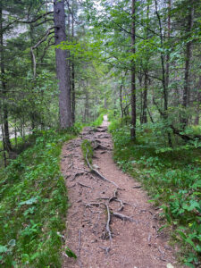 canyon weg