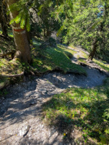 path 2