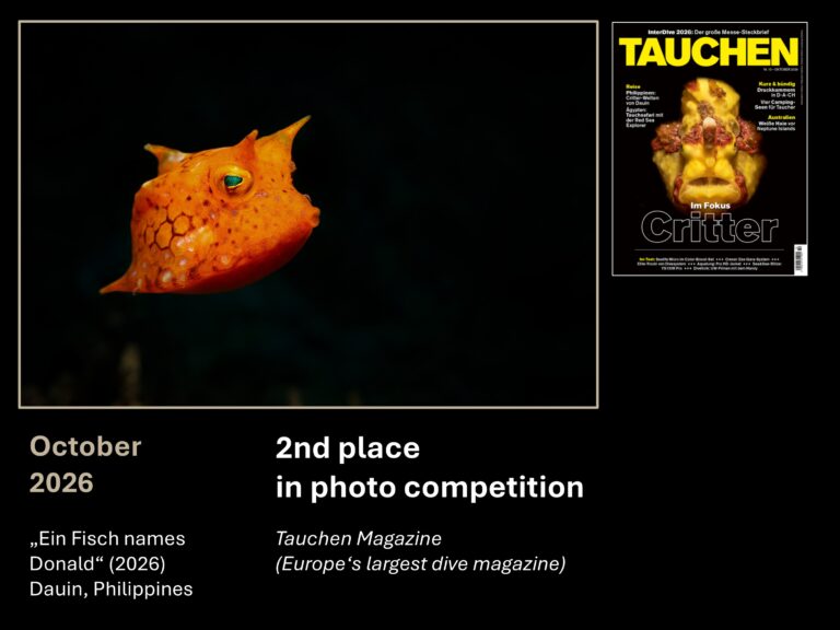 2026 10 tauchen